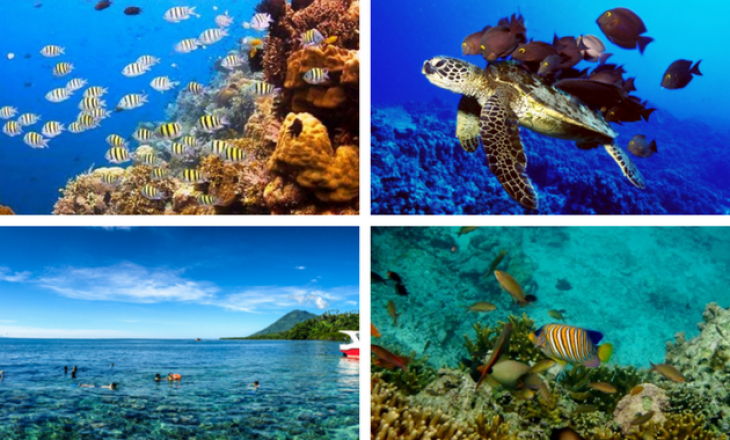 Wisata Bahari Indonesia 2025: Pesona Laut Nusantara dan Tren Eco-Marine Tourism
